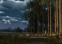 After a rain