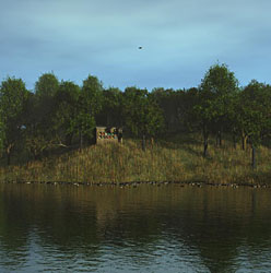 The Bee House