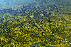 Vallis Alpes