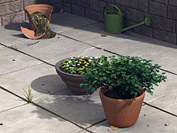 Yard Version 2
