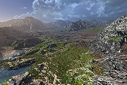 Forked Valley