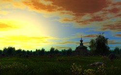 Edge of the Forest at sunset