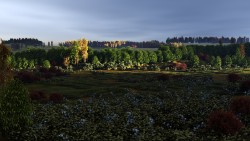 Evening in the lowland