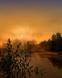 Fiery fog