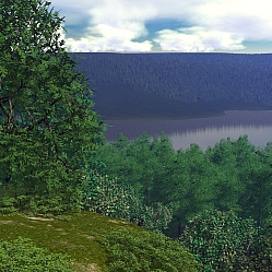 Serenity