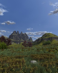 Summer afternoon