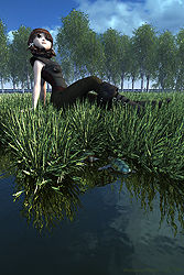 Watching Ducks