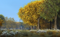 Oak Grove