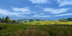 Fields endless