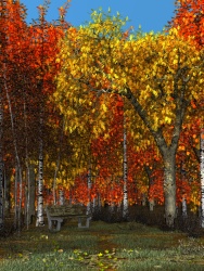 Autumn etude