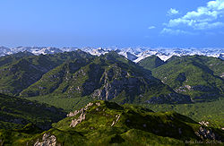 Bella Tola