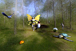 Fairy Forest