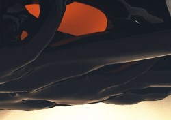 Visitor