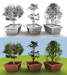 Three Trees
