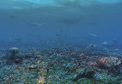 Dead Coral.