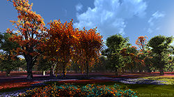 Autumn Trees
