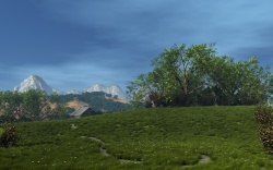 On the hillside