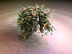 Leaves Leave