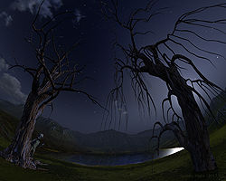 Spooky Night