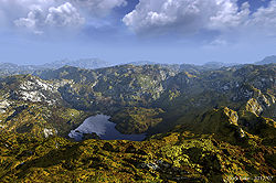 Dark Lake