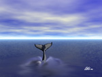 Whale