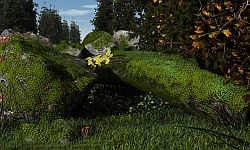 The log covered with moss