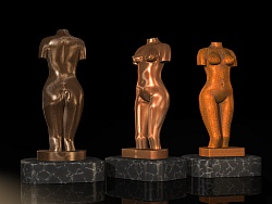 Female torso