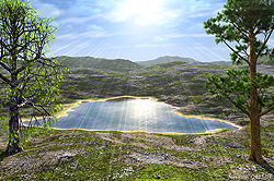 Sun Rays