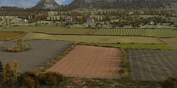 Alpine fields