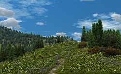 Honey meadow