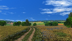 Field road