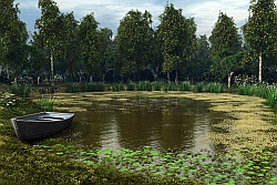 Overgrown Pond