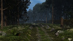 Forest Road