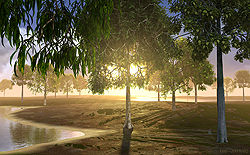 Fen