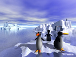 Penguins