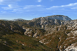 Rutted Hills
