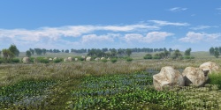 Feather grass steppe