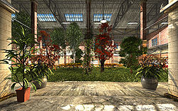 Indoor Garden