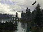 NorthWest Paradise