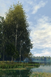 Lake in the park