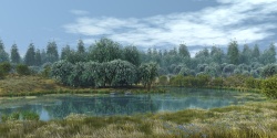 The lake in the old park