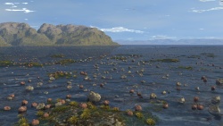 Shallow water