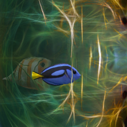 Abstract with fish...