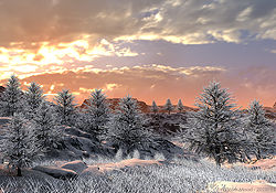 Winter Mood