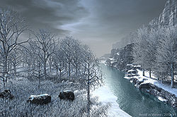Brook in Winter