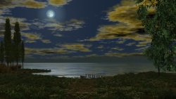 Moonlit night on the river