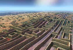 Vast Maze