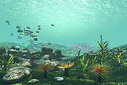 Shoal of Fish