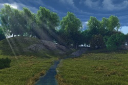 Sun rays