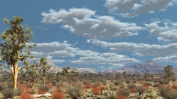 Desert in Nevada